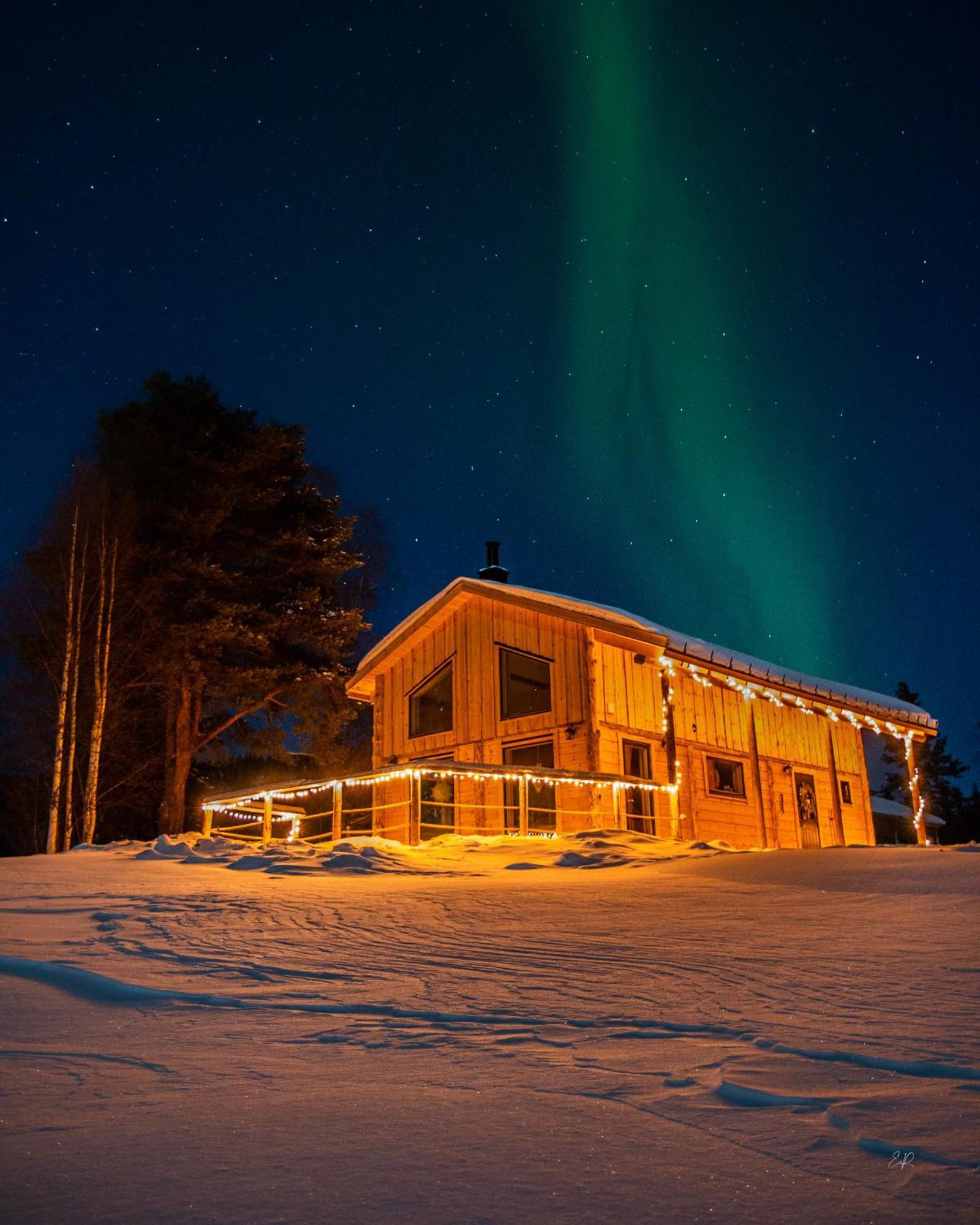 Blueberry Lodge 5 Personnes Mjolan Extérieur photo