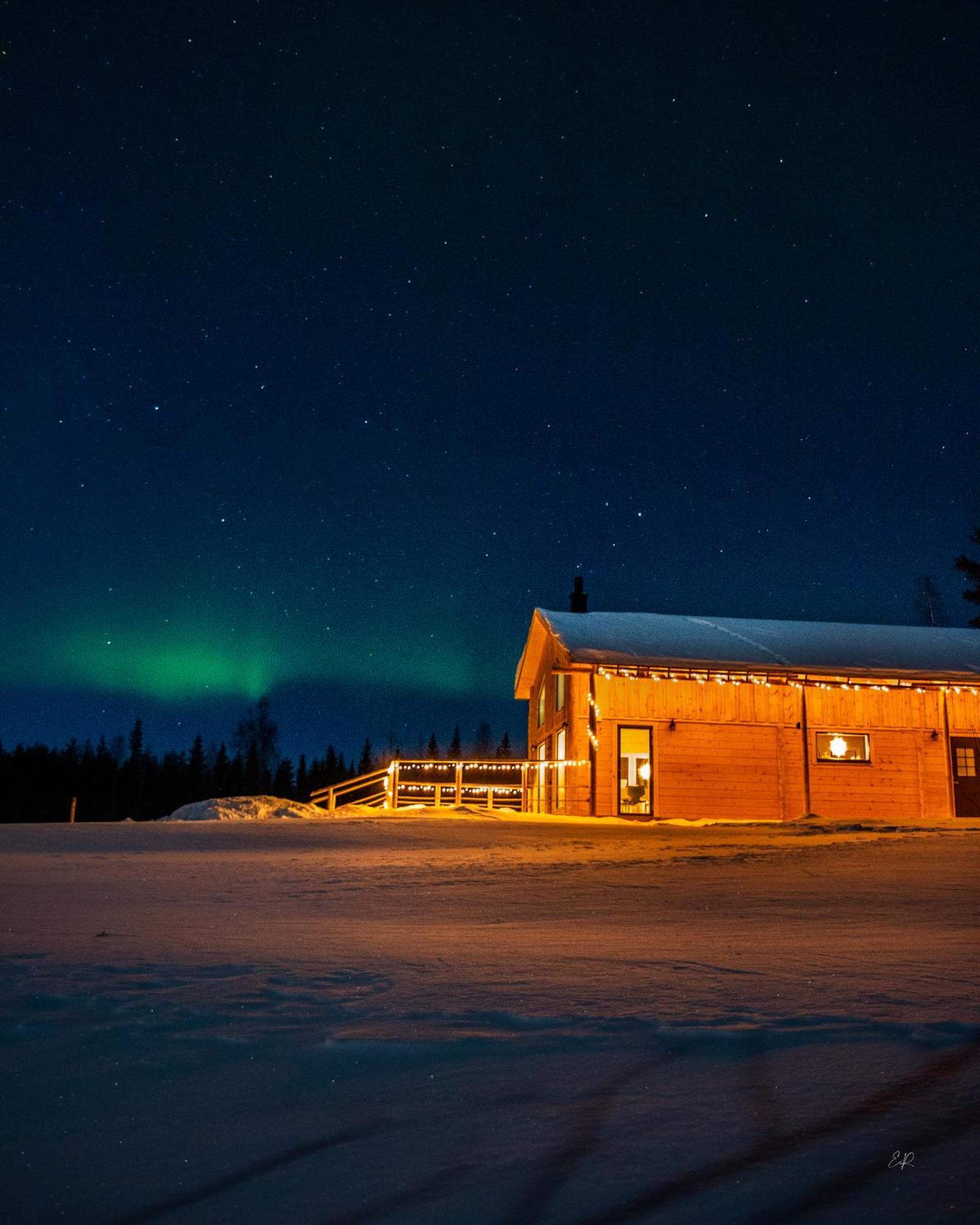 Blueberry Lodge 5 Personnes Mjolan Extérieur photo